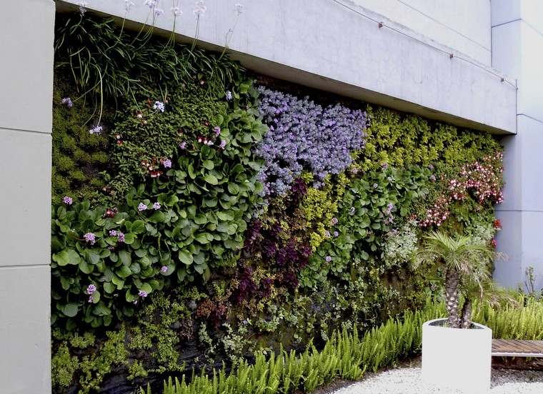 mur-vegetal-jardin-contemporain