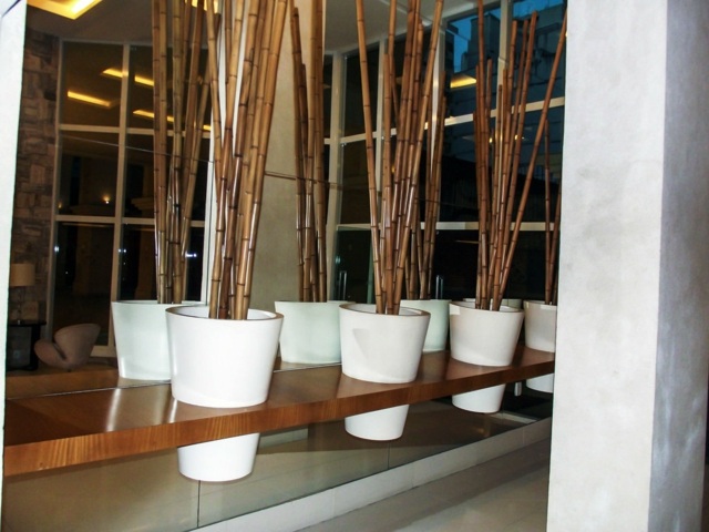bambou decoration idee