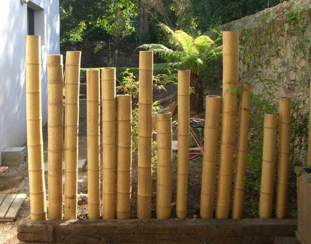 cloison extérieure bambou