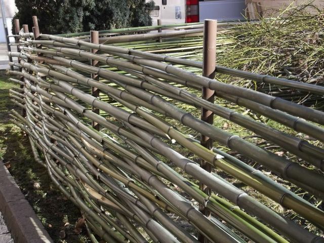 clôture jardin bambou entrelacé