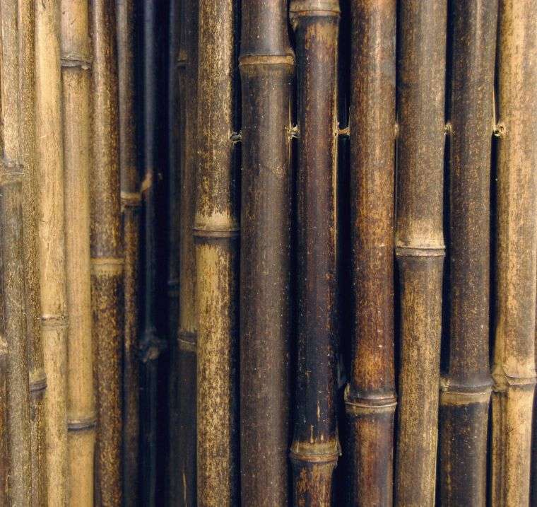 cloture-en-bambou-jardinbambou-cloture