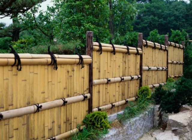 palissade jardin bambou muret pierre