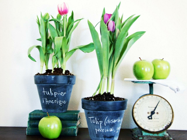 déco pâques printemps originale décoration de pâques pots de fleurs printanières tulipes