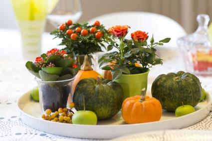 courges-citrouille-fleurs-deco
