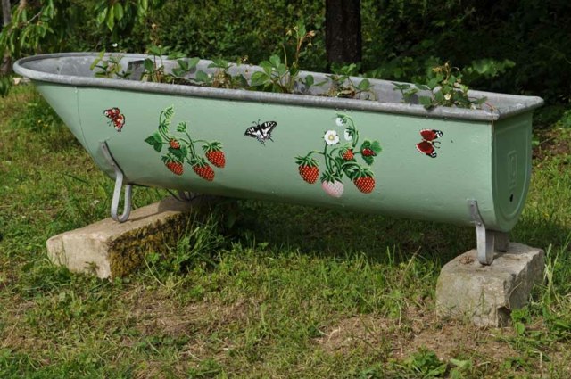 baignoire fraisiers jardin decoration original