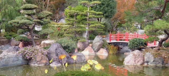 beau jardin japonaise vue pont