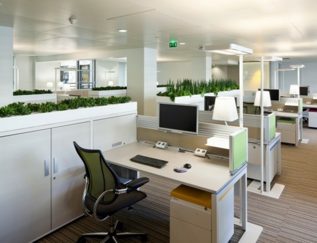 bureau travail clair minimaliste plantes vertes