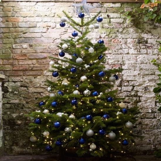 choisir-sapin-Noël-épicéa-bleu-boules-blu-argent-élégant