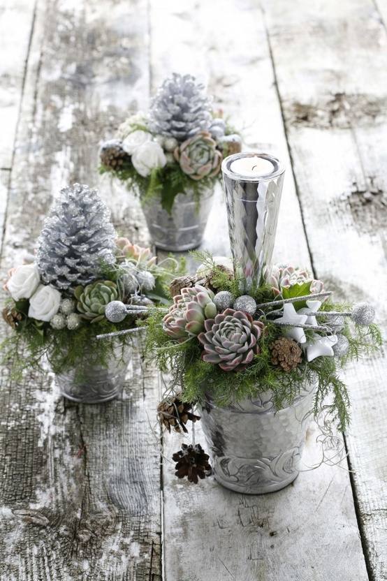 décoration-Noël-originale-plantes-succulentes