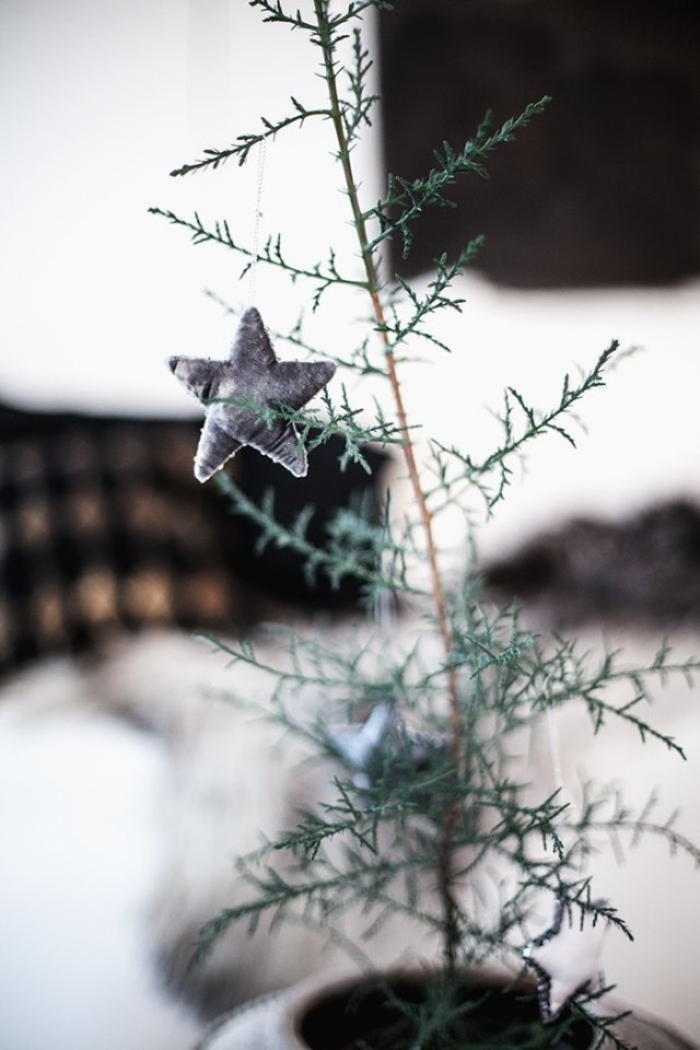 idée-décoration-Noël-originale-étoile-grise