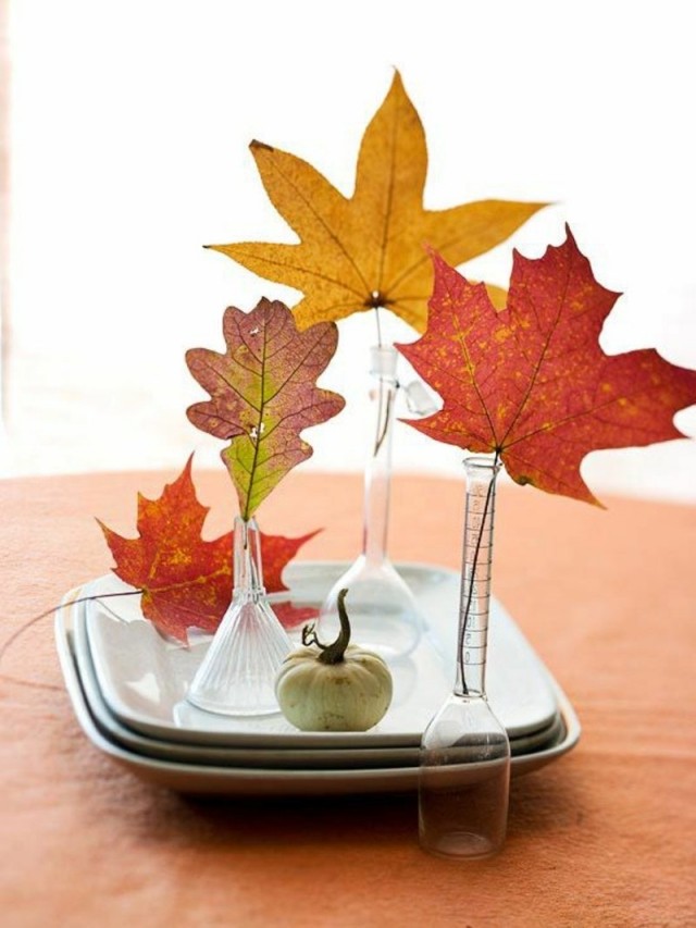 idées-déco-automne-vases-verre-décoratifs-feuilles-automnales-jaune-rouge-marron
