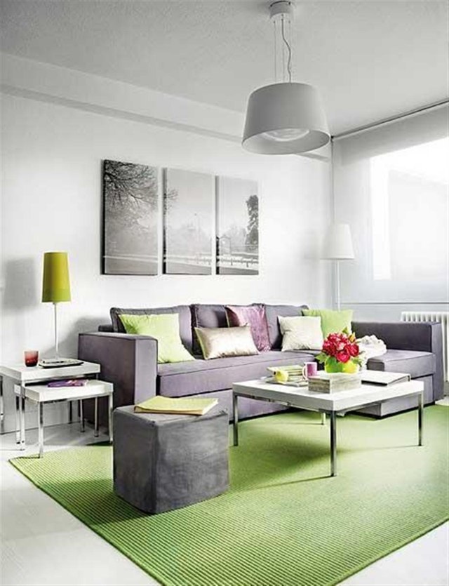 tapis-vert-salon-contemporain-blanc-gris