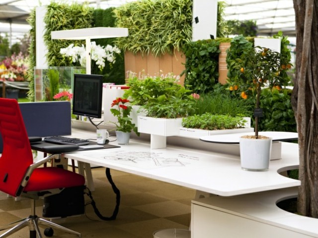plantes d'intérieur vue ambiance zen bureau travail