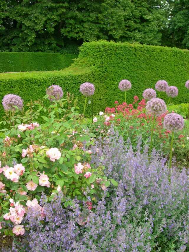 vue beaux jardin fleurs bulbeuses