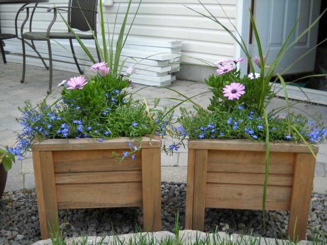 vue deux pots fleurs bois