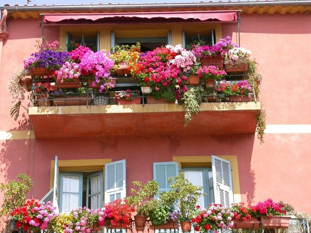 Jardin de balcon batiment rouge pot de fleurs