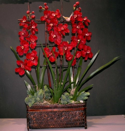 deco interessante orchidees rouges
