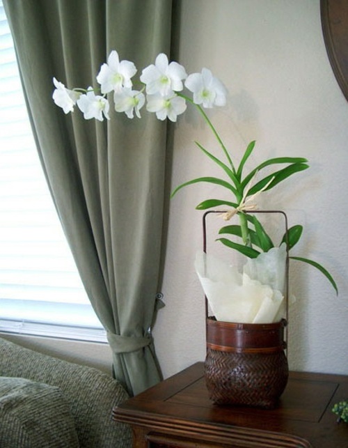 deco table basse fleur orchidee