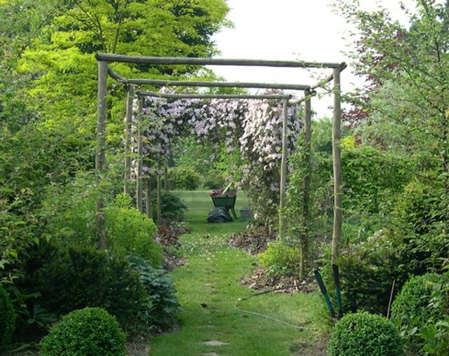 jardin vert pergola diy bois plante couleur rose pale