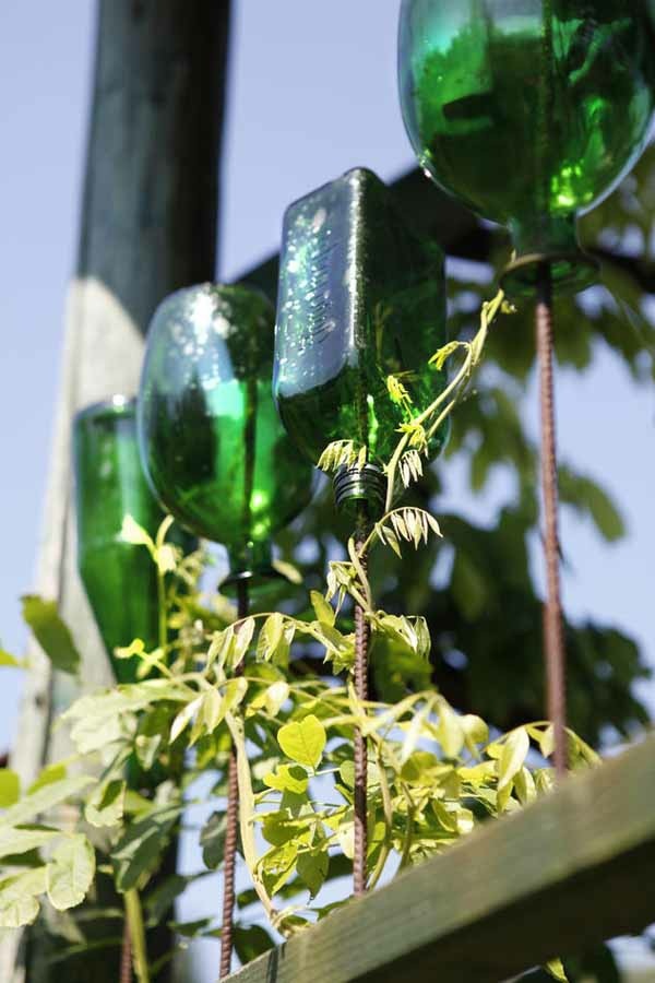 decoration jardin petits frais bouteilles colorees vertes