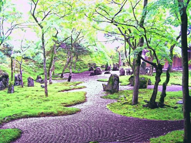 superbe jardin zen verdoyant rochers