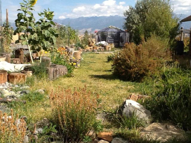 design jardin permaculture Montana