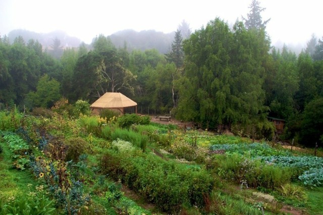 aménager jardin permaculture OAEC Sonoma County