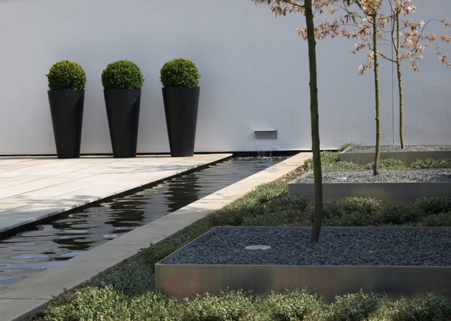 aménagement jardin moderne buis canal