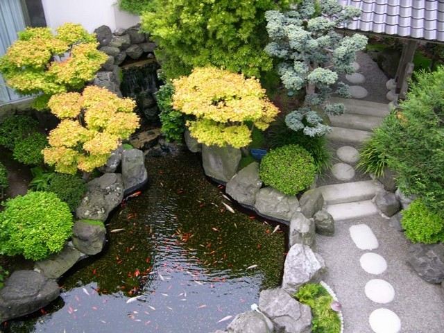 aménagement jardin moderne bassin zen
