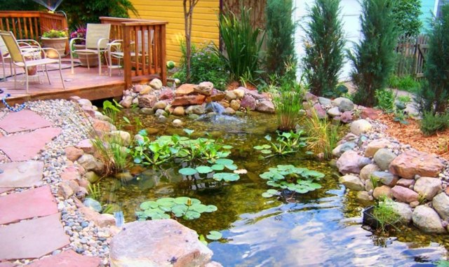 bassin plantes aquatiques terrasse bois