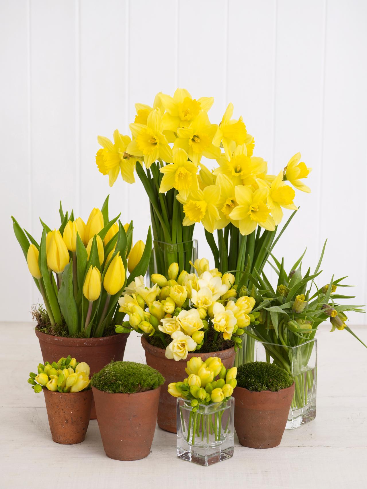 déco fleurs printemps original jolie style jaune tulipe