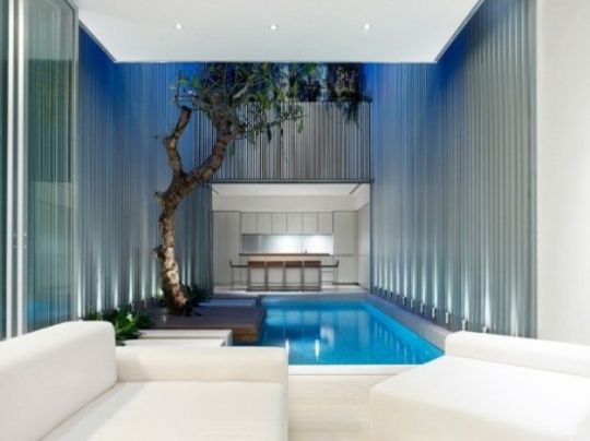 deco moderne jardin interieur piscine