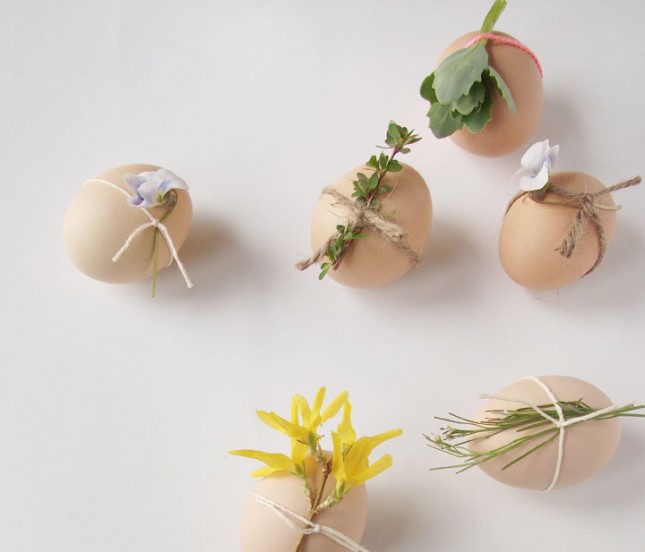oeufs de pâques déco écolo naturelle simple à faire design minimaliste déco aux fleurs