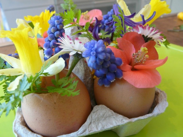 decoration magnifique coquilles oeufs vase fleurs