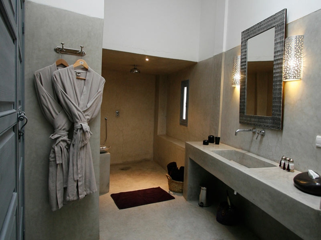 décoration salle de bain bichromie