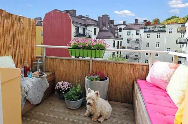 moderne design contemporain chien terrasse déco stylé classe
