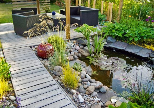 idée aménagement terrasse aquatique plantes