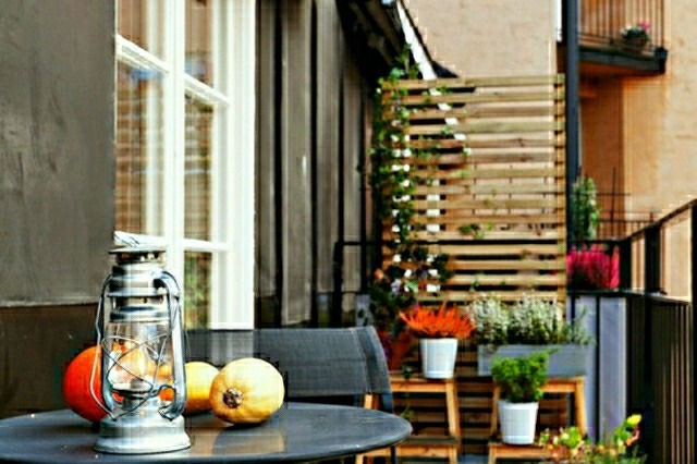idée plantes couleur design extérieur terrasse balcon jardin maison design moderne terrasse soleil beau