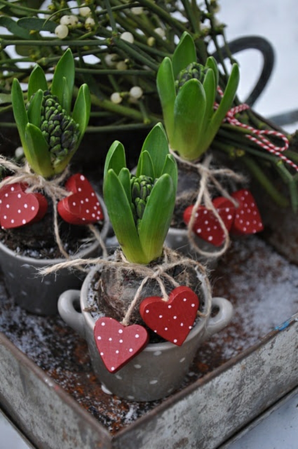 idée cadeau saint valentin naturel plante fleur petit coeur en bois 