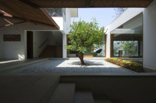 interieur jardin arbre zen
