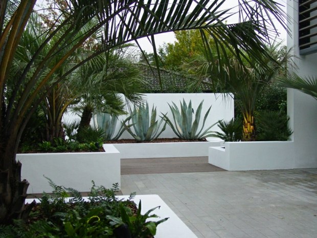 jardin architectural béton planté cactus palmiers