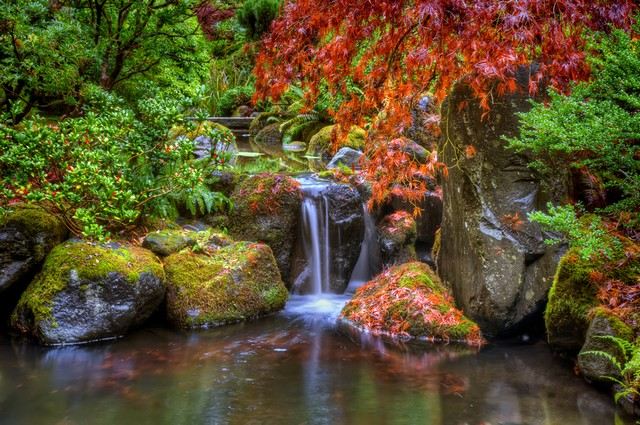 jardin japonais cascade ruisseau