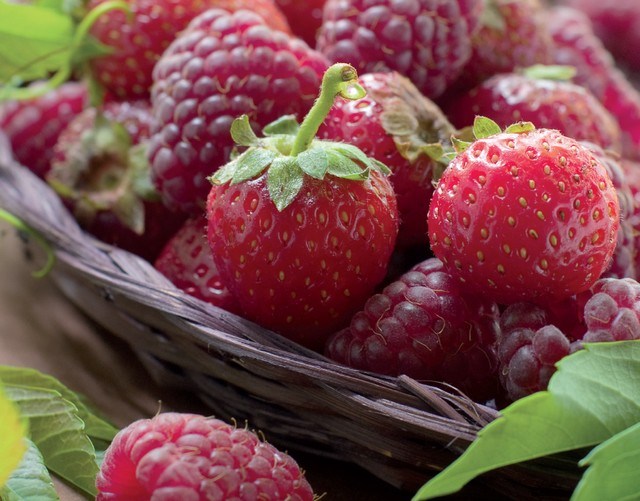 jardiner lune fruits rouges fraises framboises