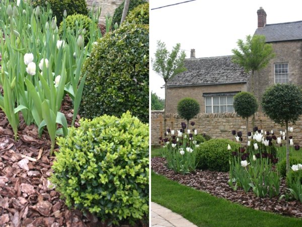 petit jardin design deco tulipes