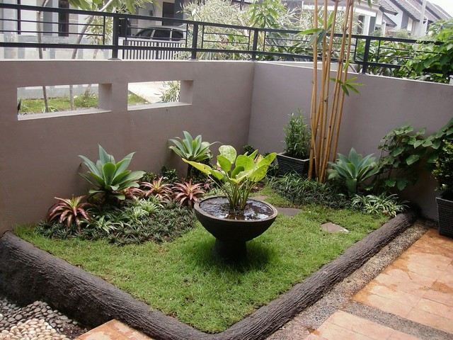 petit jardin moderne palmier courette