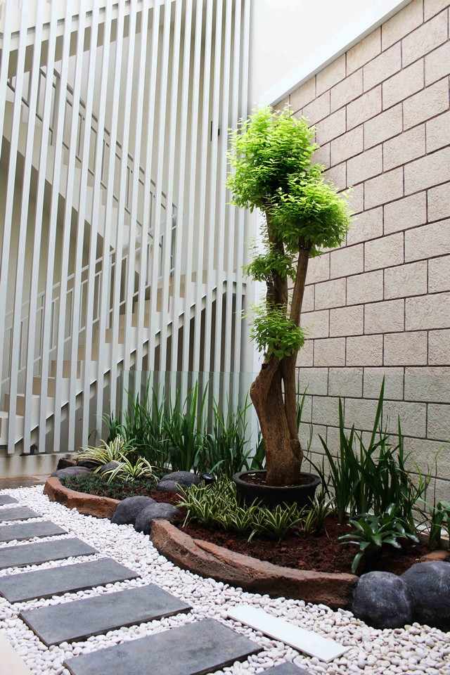 petit jardin moderne parterre design plantes