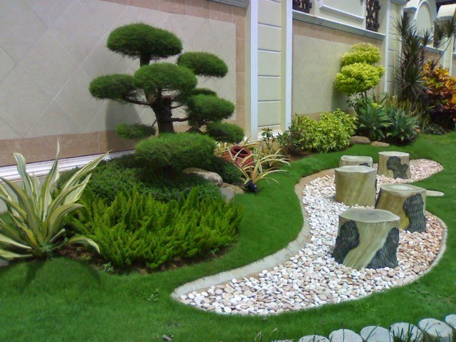 petit jardin moderne végétation taillée
