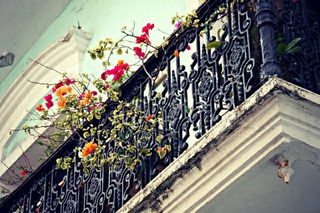 puerto rico balcon design amérique design moderne terrasse latine moderne super fleurs beau