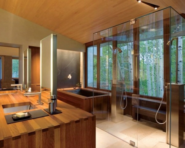 salle bain zen design bois verre