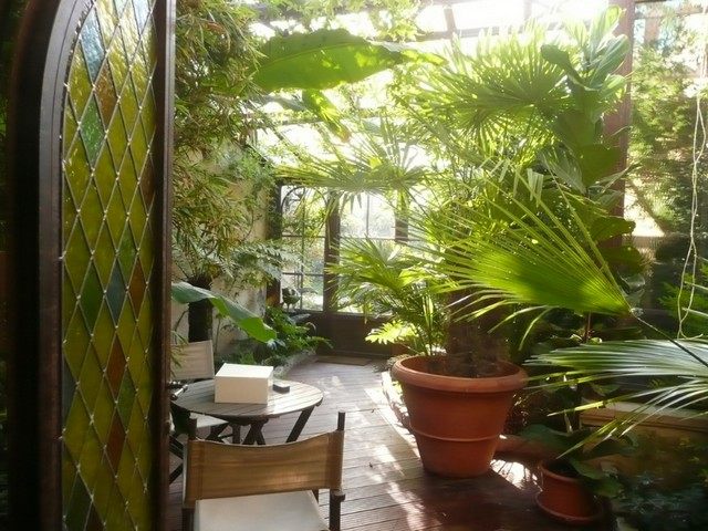 plantes pour veranda jouer avec luminosite